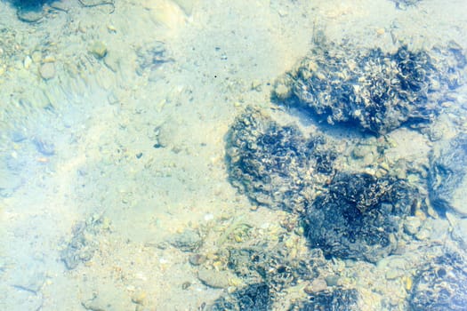 Rocks and coral under water by the upper photos.