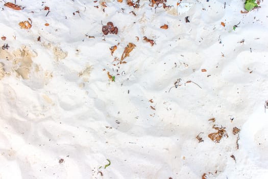 Clean white sand, and the leaves are small.