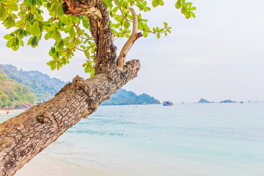 The scenic sea view from the beach.