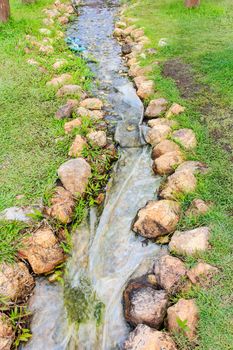 Forest creek running through the stones.