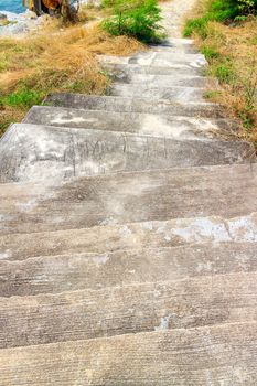 Old concrete stairs is way down in the garden.