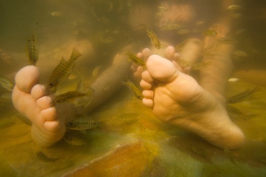 Fish spa feet pedicure skin care treatment