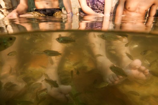 Fish spa feet pedicure skin care treatment