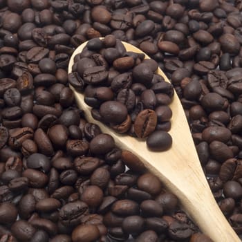Close up of wooden spoon with coffee beans on it
