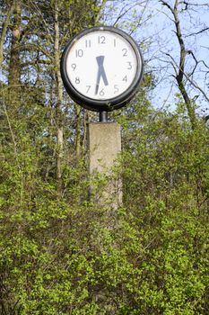 Clock in green spring foliage at five thirty pm. Clock at five thirty pm placed in the middle of spring green foliage. Stockholm, Sweden.