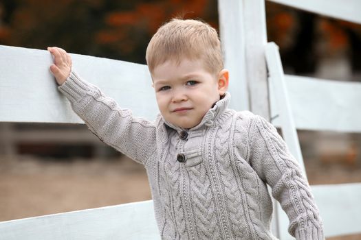 2 years old Baby boy on the a white picket fence beside the horse