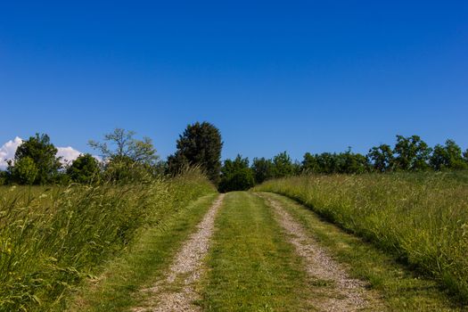 Beautiful road on countryside under the blue sky