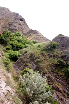Small mountain with green grass and bush in Crimea
