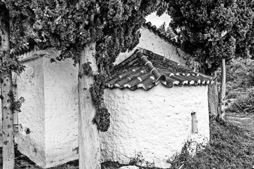 A small Orthodox Church in the trees