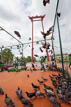 catch the Pigeons protect bird flu in Bangkok, Thailand.