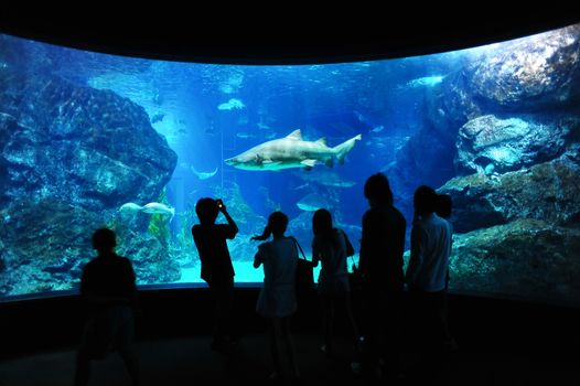 Tourist in big aquarium, Bangkok, Thailand.