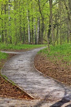 Moscow Park Sokolniki