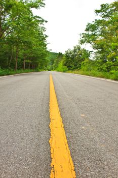 Forest road at Kaengkrachan National Park Thailand