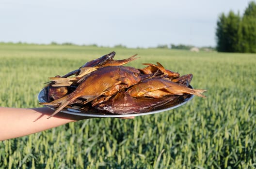 woman hand holds tray with a ot of delicious organic smoked fish on nature background