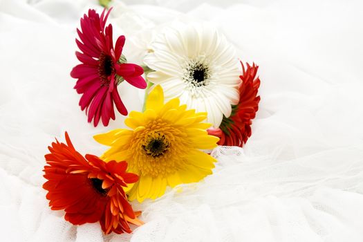 Five decorative daisy flowers on wedding day 