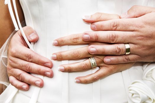 Bride and groom hands with wedding bands