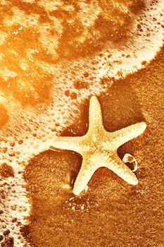 Starfish on the exotic beach, ocean waves at warm sunset. Travel, vacation, holidays concepts