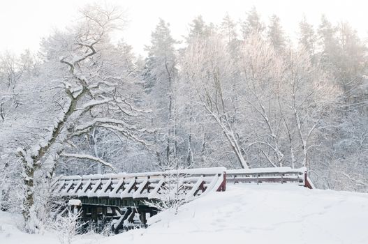Winter scenery. Fairytale forest, bridge, snowy trees. Elegant composition