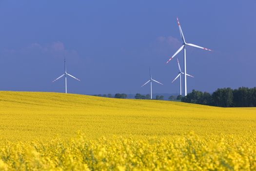 Wind turbines farm on the rape field. Ecology, environment friendly, natural energy.