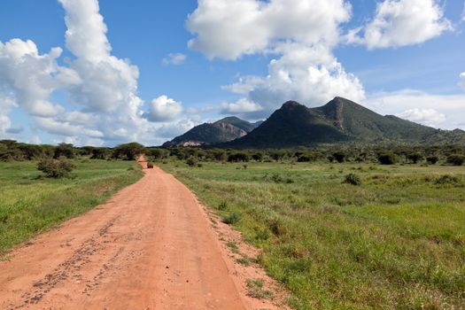 Red ground road and bush with savanna landscape in Africa. Tsavo West, Kenya.