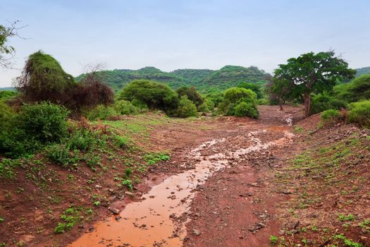 Red ground road with mud and dirt. Savanna landscape in Africa. Tsavo West, Kenya.