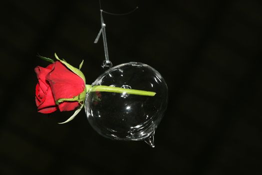 Glass ball with a red rose as wedding decor