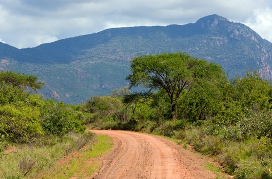 Red ground road and bush with savanna landscape in Africa. Tsavo West, Kenya.