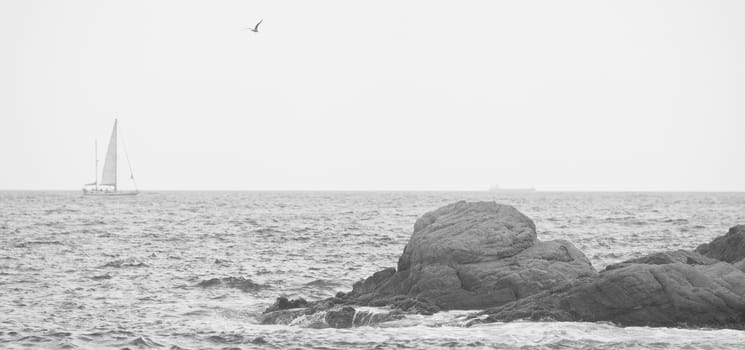 sea, rocks, and a sailboat, black and white photo, grain