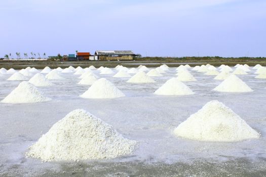 Salt Field, Thailand