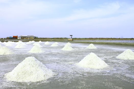 Salt Field, Thailand