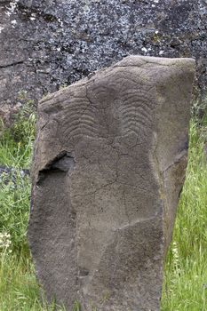 Native Anerican Indians Scorpion Petrogylph on Rock Artwork at Horsethief Lake Washington