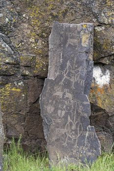 Native Anerican Indians Wildlife Birds and Animals Petrogylphs on Rock Artwork at Horsethief Lake Washington