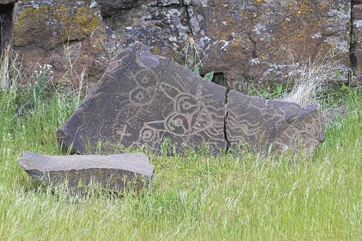Native Anerican Indians Mythical Animals Petrogylph on Rock Artwork at Horsethief Lake Washington
