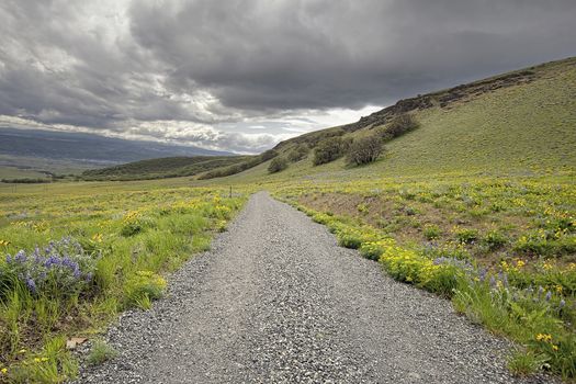 Gravel Road Hiking Trail on Columbia Hills State Park in Washington State