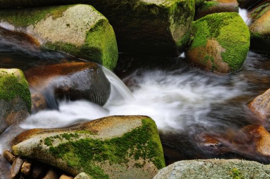 Detail of small waterfall on mossy rock.