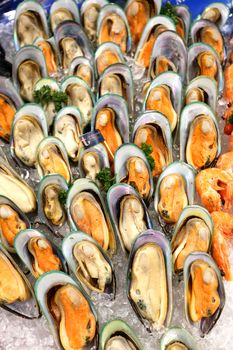Mussels in shells