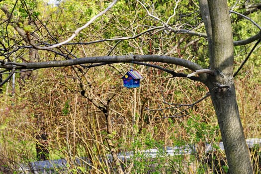 birdhouse, a home for birds