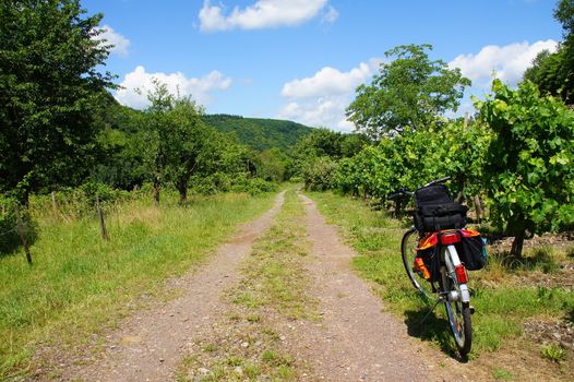 Dirt track and bike set off