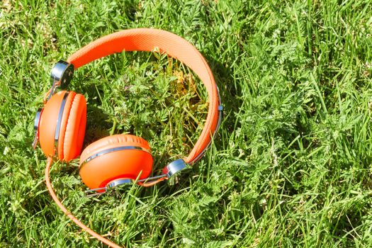 Vibrant orange wired headphones on the sunny grass