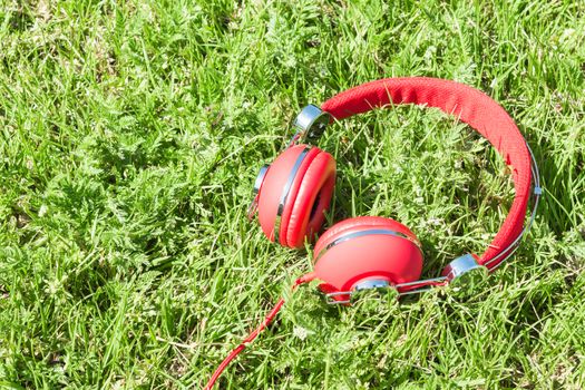Colorful red headphones on sunlight glade with copy-space for text