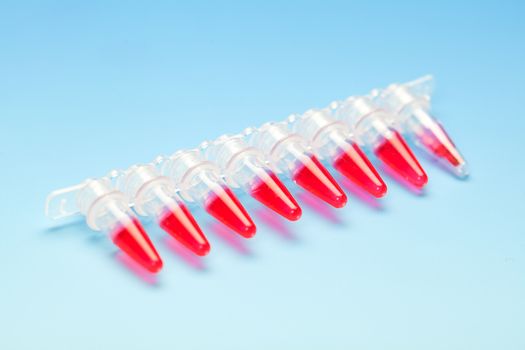 Microtubes with biological samples in criminalistic laboratory for DNA analysis