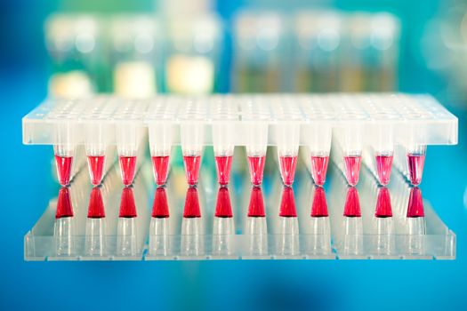 Tools for PCR amplification of DNA: 96-well plate