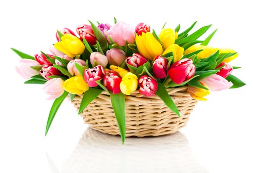 spring tulips in wooden basket, on white background. happy mothers day, romantic still life, fresh flowers