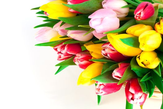 spring tulips on white background. happy mothers day, romantic still life, fresh flowers