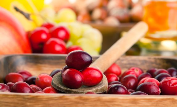 Cranberries in wooden bowl. macro shot