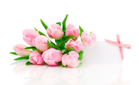 beautiful tulips with with blank for text on a white background. happy mothers day, romantic still life, fresh flowers