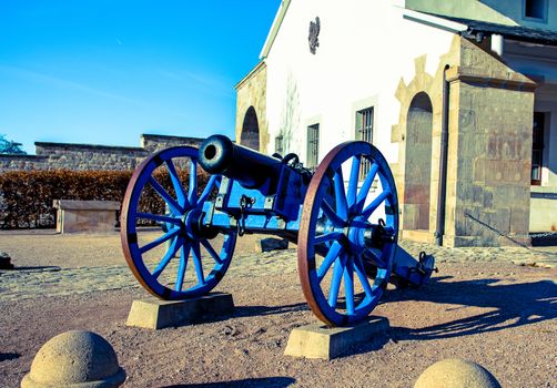 A Napoleonic style civil war cannon and cais-son