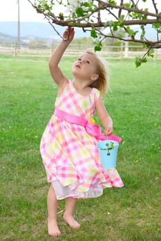 Little blond girl picking blossoms from a crab apple tree