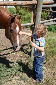 Little boy petting a horse by the fence