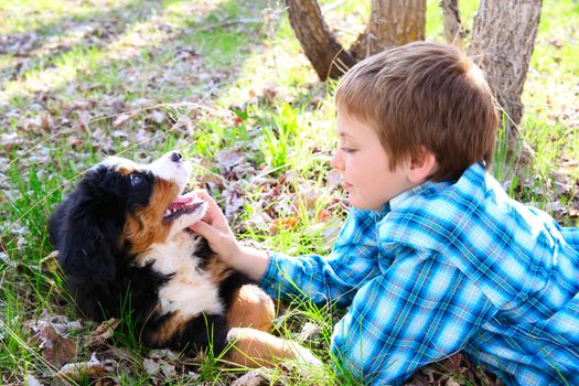 Young boy with his Bernese Mountain Dog puppy